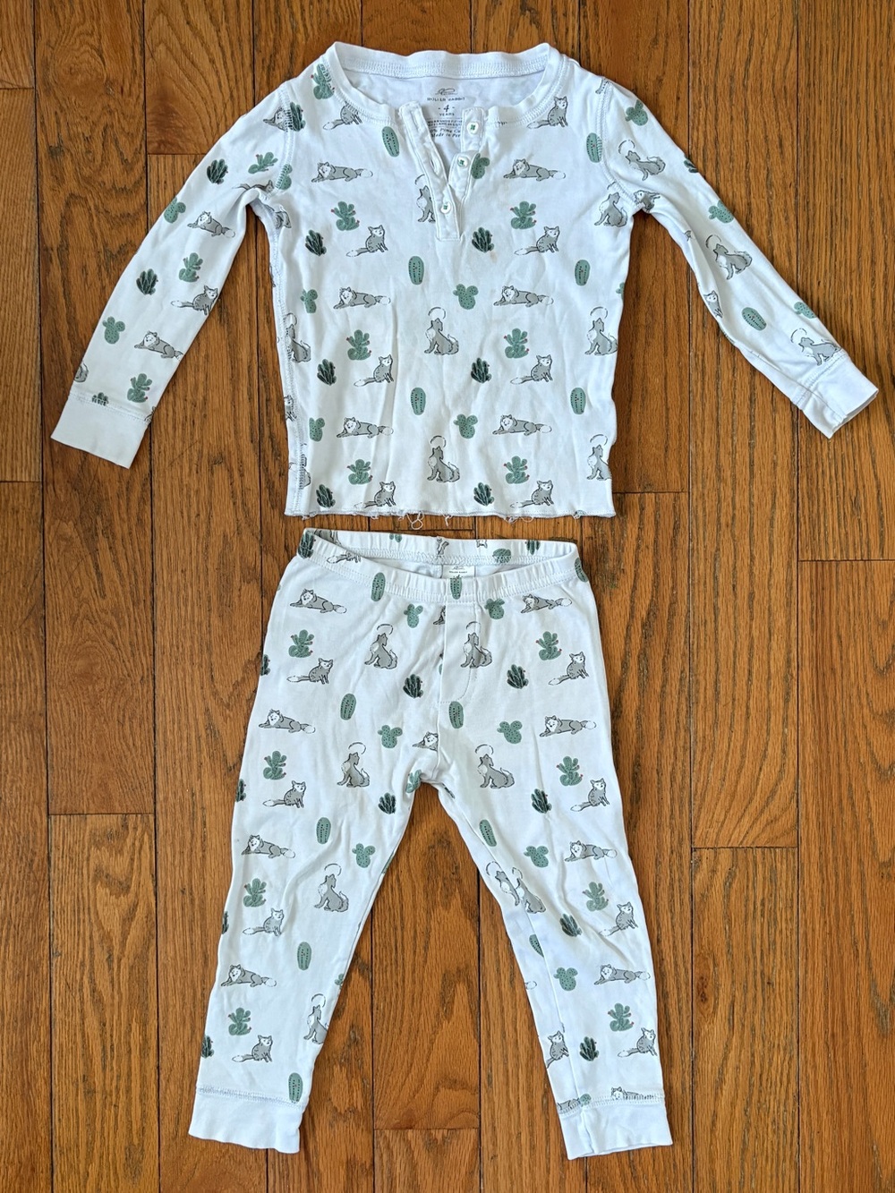 Roller Rabbit Pajamas Size 4 Desert Animal Cactus Print Pima Cotton 2pc